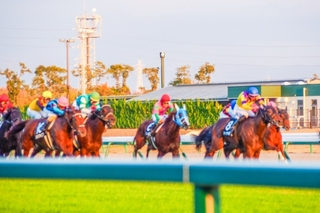 競馬