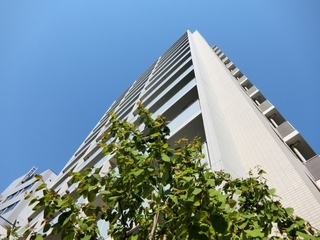 マンション