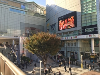 新宿東南口