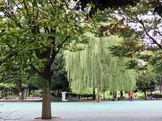 戸山公園