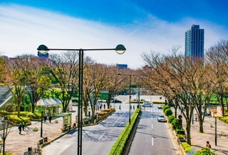 新宿中央公園