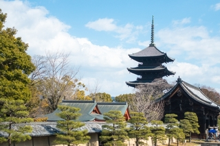 京都市