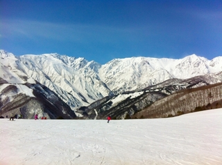 白馬