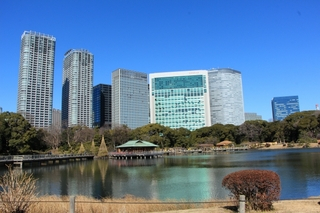 中央区