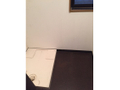  その他の写真 