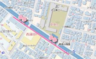 桜ＭＡＰ