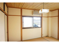 その他の写真 