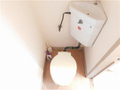  その他の写真 