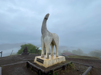 陣馬山から高尾山まで縦走してきました。