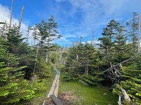 蓼科山でモーニングコーヒー☕♪