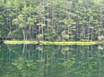 北八ヶ岳を散策してきました。