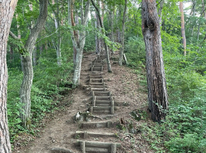 地元の里山をお山歩しましたよ(^^)