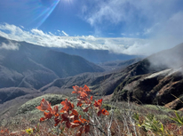 雨飾山を歩いて来ました。