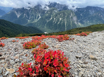山友と蝶ヶ岳に登ってきました！