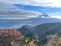 大菩薩嶺・三ツ峠山に登ってきました。