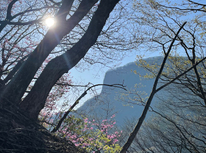 日本二百名山の荒船山に登りました♬