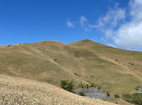 中央分水嶺トレイルの真ん中、三峰山を歩いて来ました。