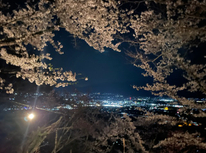 安曇野市の桜の名所・光城山に夜桜を見に行ってきました♬