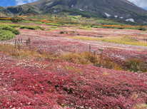 北海道遠征１座目（旭岳）