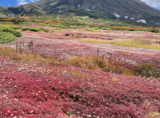 北海道遠征１座目（旭岳）