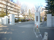 信州大学　賃貸　アパート　『信大周辺のご飯屋さん３選！』