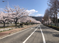 信州大学　賃貸　アパート　『頑張れ！受験生！』