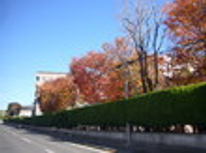 松本市　賃貸　不動産　信州大学　アパート　信州大学前、今紅葉が見頃です！！