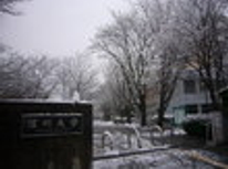 信州大学　アパート　賃貸　下宿　松本にも雪が降りました。この冬初めての積雪です！！