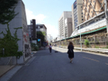  その他の写真  