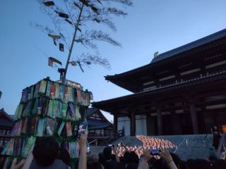 増上寺　七夕まつり