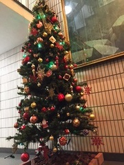 クリスマスツリー