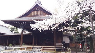 靖国神社能楽2016夜桜能