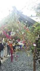 (株)松屋撮影：東京大神宮七夕祈願祭