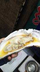 築地秋まつり