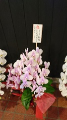 （株）松屋撮影：南洲酒場しま　新規オープン