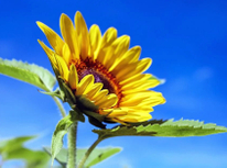 2023年夏季休業のお知らせ