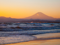 本年もよろしくお願い申し上げます。