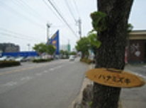 今週の牛久市内中古住宅オープンハウス