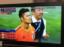 ロシアW杯  vsポーランド