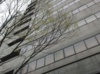 「リンクス名駅」のご紹介です(^^♪