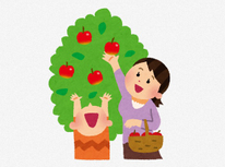 りんご狩りに行ってきました