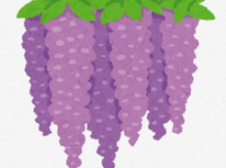 藤まつりに行ってきました