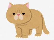 かわいいネコちゃんはお好きですか？