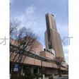  その他の写真