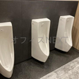  その他の写真  