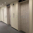  その他の写真