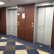  その他の写真
