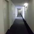  その他の写真  