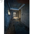  その他の写真