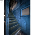  その他の写真
